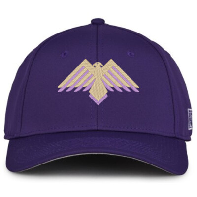 The Game Metallic Embroidered Fitted Hat Thumbnail